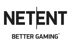 Net Ent Logo